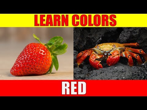 Learn Color RED - Things That Are Red in Colour