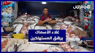 ارتفاع جديد في أسعار السمك.. والسردين يتجاوز 25 درهمًا للكيلوغرام thumbnail