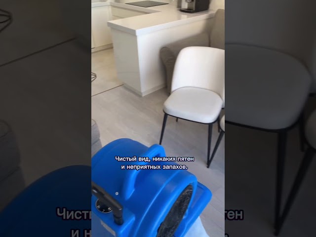 Химчистка белых стульев 