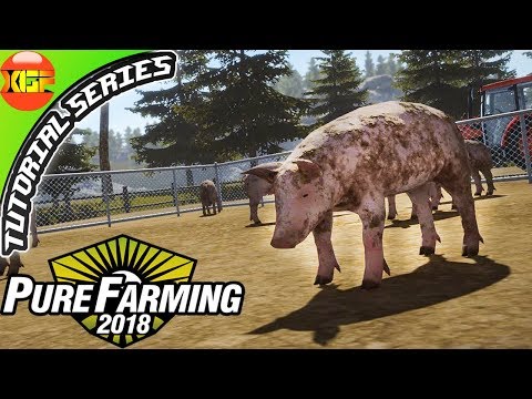 Pure Farming 2018 Tutorial Series Gameplay #7- All about pigs!