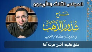 صورة المجلس الثالث والأربعون من شرح شذور الذهب - أنس عزت آغا