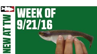 What's New At Tackle Warehouse 9/21/16