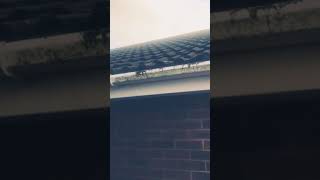 Album cover: Upvc Cleaning