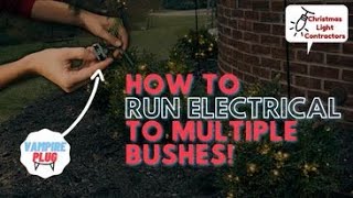 Running Electrical to Multiple Bushes