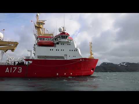 HMS Protector conducts wildlife surveys in the South Sandwich Islands