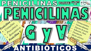 PENICILINA G BENZATÍNICA, PROCAÍNICA, SÓDICA Y PENICILINA V | GuiaMed
