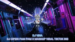 Download lagu DJ CIPERI PAM PAM X MASHUP VIRAL TIKTOK INS mp3