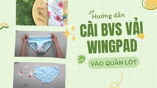 HƯỚNG DẪN CÀI BĂNG VỆ SINH VẢI WINGPAD VÀO QUẦN LÓT