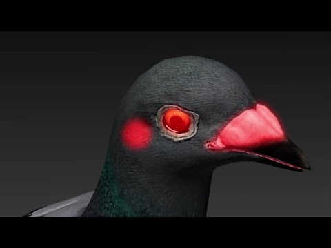 Vestibular Nuclei used for Navigation in Pigeons - BBC Radio short - 2012