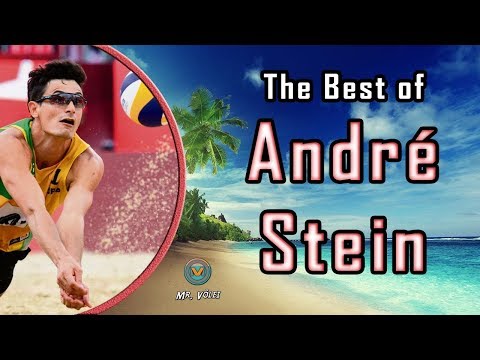 The Best of André Stein