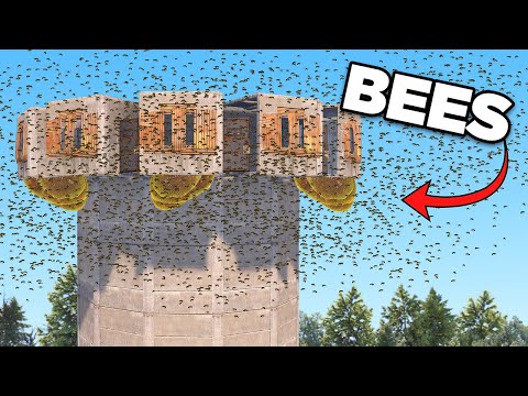 We Unleashed 541,800 Bees on Roof Campers