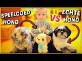SPEELGOED HOND ? VS ECHTE HOND ? ( met Luxy) | Bellinga Vlog #1558