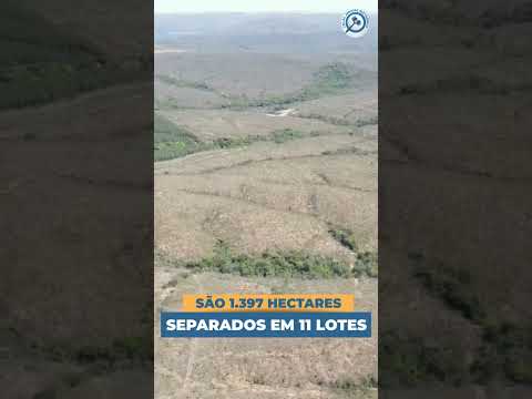 GRANDE FAZENDA EM GOIAS