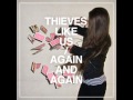 Thieves Like Us - Never Known Love (Kamp! Remix)