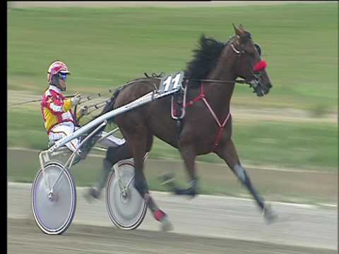 Trotto 21/05/2017 - 3ª corsa