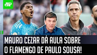 ‘O Paulo Sousa comprou um problema no Flamengo quando…’: Mauro Cezar dá aula e é direto