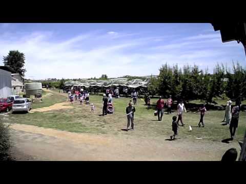 Payne's Orchards