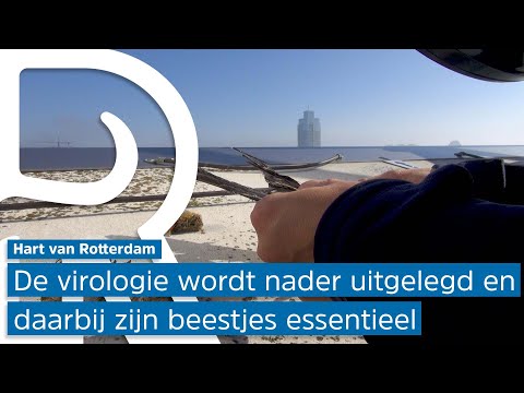 Het Hart van Rotterdam - Aflevering 3
