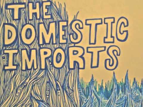 The Domestic Imports - Another Year