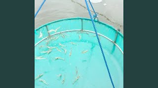 Download lagu Thirutnaioqibandini mp3