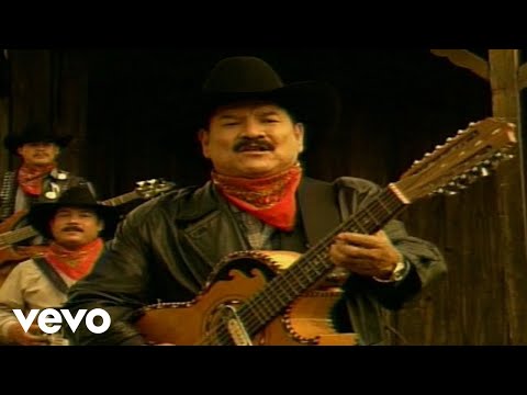 Belleza De Cantina - Cardenales de Nuevo León