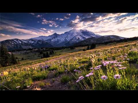 Conrad Winged - Katharsis (Original Mix) [Gent Trance Division] [HD]
