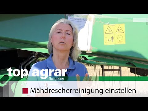 Raps: Mähdrescher Reinigung optimieren - Das sind die Grundregeln +++ feiffer consult +++