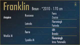 Video koně Franklin