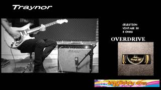 Video thumbnail for Traynor YGL2 demo by Voodoo Factory - il negozio di boxguitar.com