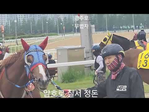 경주로 무법자/ 무질서속에 암호로 정리/