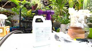 New Pump and New Insect Control For The Growspace