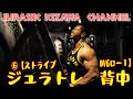 上背部のジュラシック一押しマシン 「ストライブDVGロウ」をマン引き! 【ジュラトレ背中6種目目】