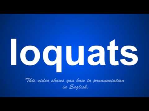 the correct pronunciation of loretto in English.