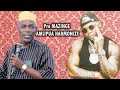 Download Pro Mazinge Amlipua Hamonaizi Mp3 Song