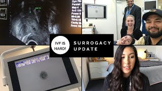 IVF IS HARD! | SURROGACY UPDATE | AUSTRALIAN SURROGATE
