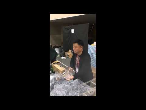 Saturn Magic -Shattering Bottle (Gimmick and Online Instructions)