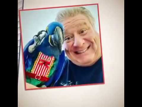 Happy Flyper customers give rave reviews for the Flyper Bird Diaper