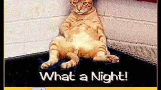 Koalas Desperados all night long (feat. macao, jaqee and bezegol)