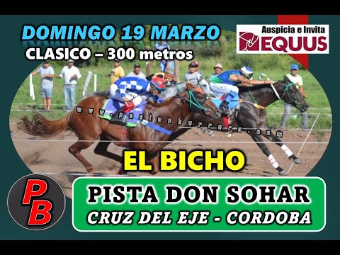 EL BICHO: PISTA DON SOHAR - CRUZ DEL EJE, CORDOBA (19-03-2023)