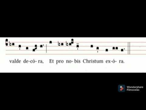 Antiphona Mariana: Ave Regina Caelorum Tonus Simplex
