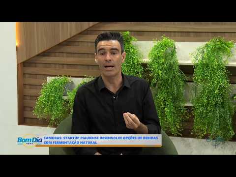 O Dia TV