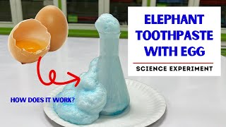 EGG FOAM EXPERIMENT | Egg Elephant Toothpaste | How does it work?