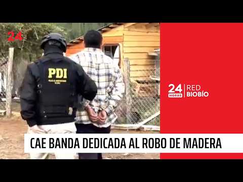 Histórico decomiso de madera robada en Chillán | 24 Horas Red BioBío