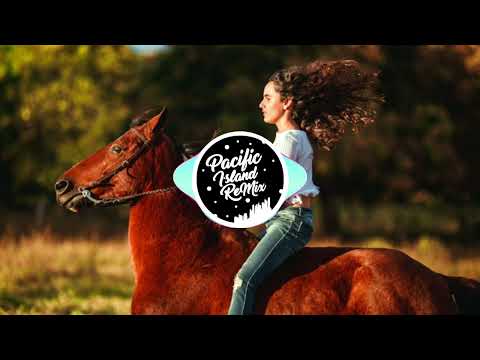 Christian Larsson - Ghost Riders In The Sky [Mega Sonic ReMix] 2025 County Chill🇻🇺