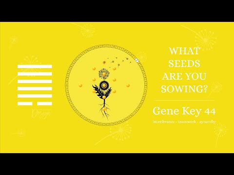 Archetype 44: The Gridworker (Gene Key 44)