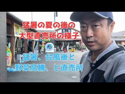 園芸 観賞用野菜