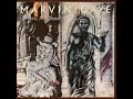 Marvin Gaye - Everybody Needs Love