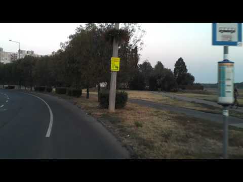 Szolnok 31-es járat; Tallinn városrész - VOLÁN Zrt.