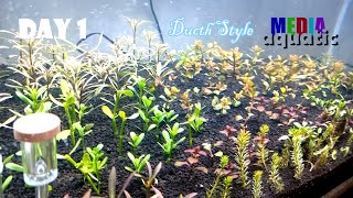 Setup Aquascape Ducth Style Pemula