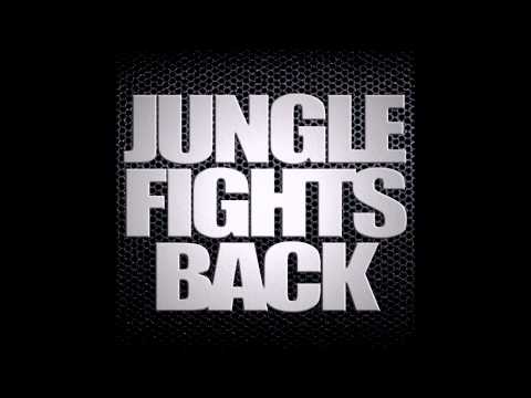 Jungle Fights Back - 130bpm Jungle Mix